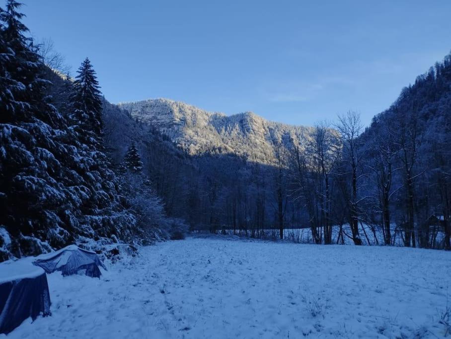 Chalet 8 Personnes + Grand Terrain Et Riviere Entremont 외부 사진